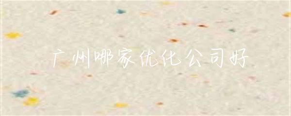 广州哪家优化公司好