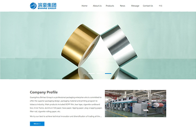 广州滨豪包装材料网站建设 提升企业形象与业务的成功案例